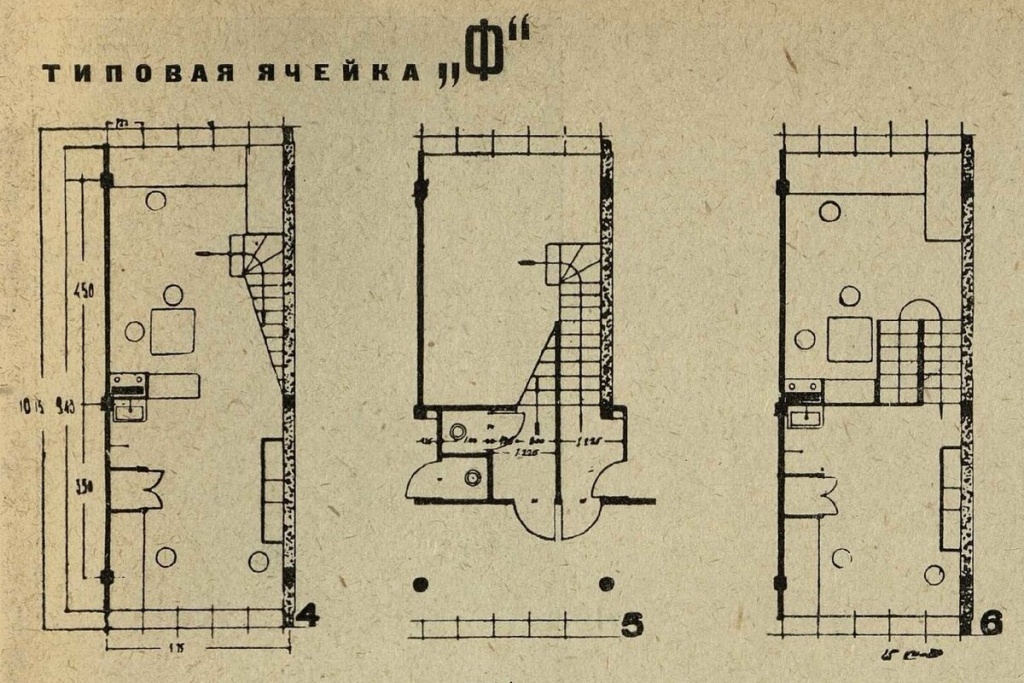 scale_1200 (40).jpeg